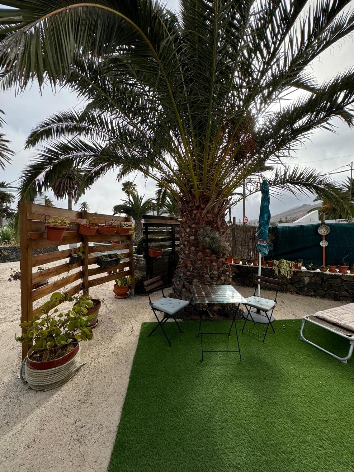 Casa Palmera y Casa Dátil Haría Quarto foto